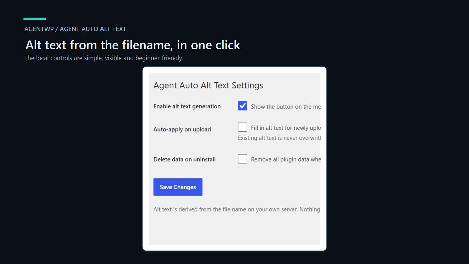 Agent Auto Alt Text settings in English